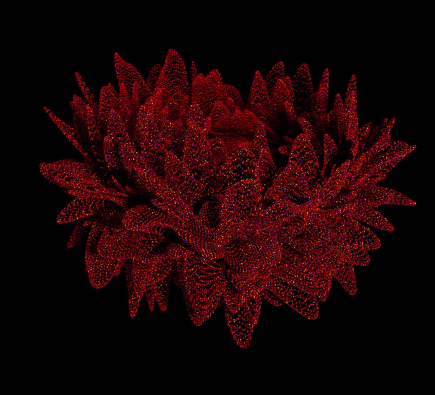 Audiovisual installation