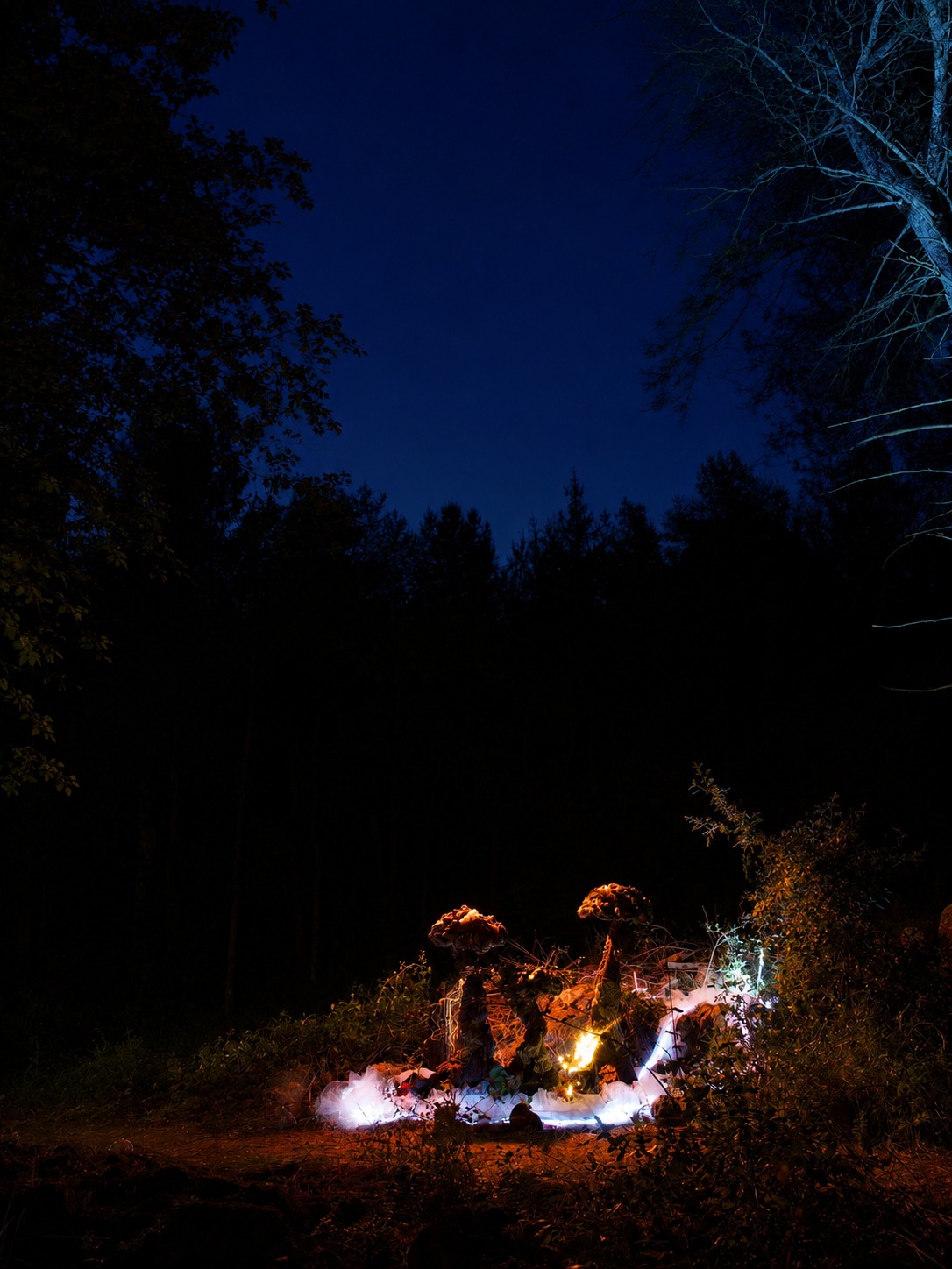 Mycelium Parlour at NEST Festival