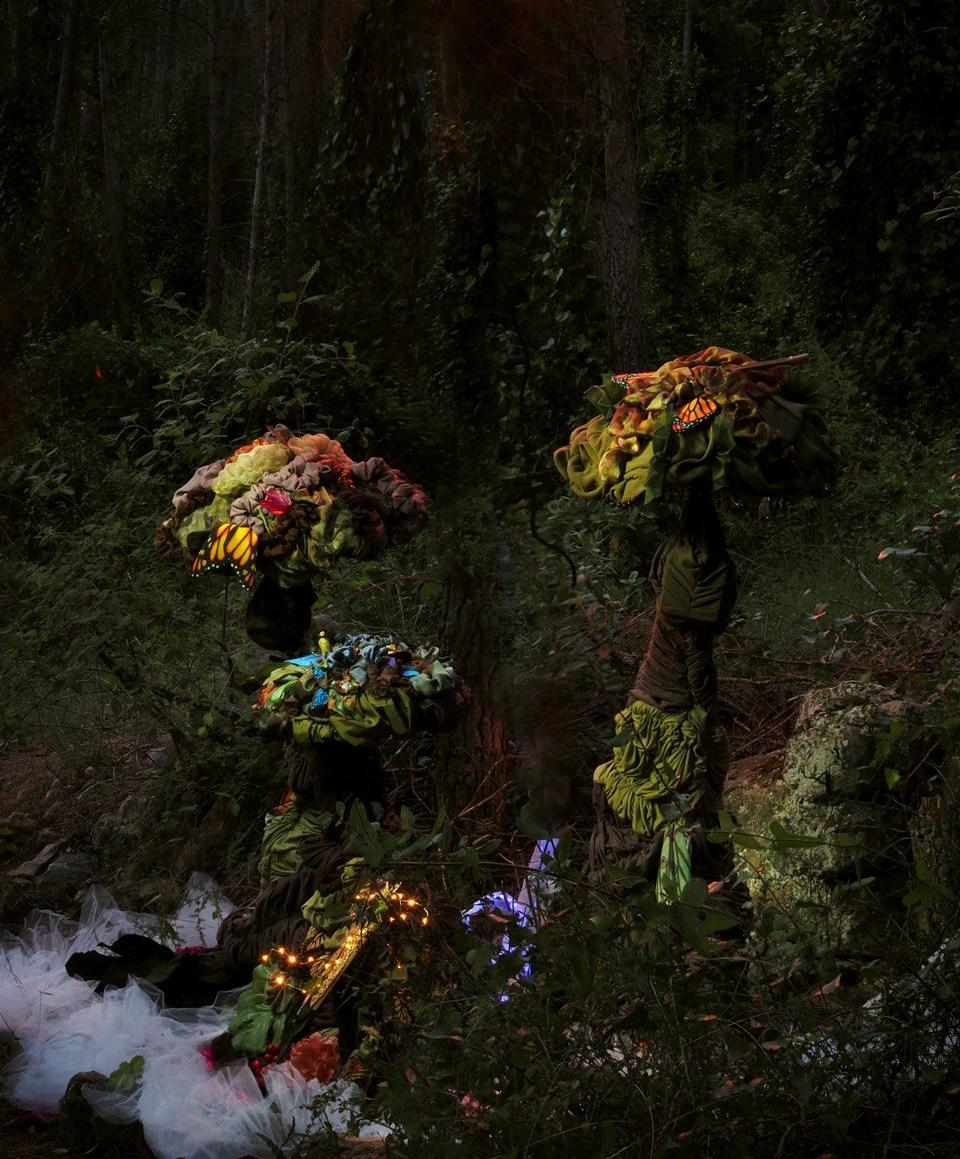 Mycelium Parlour