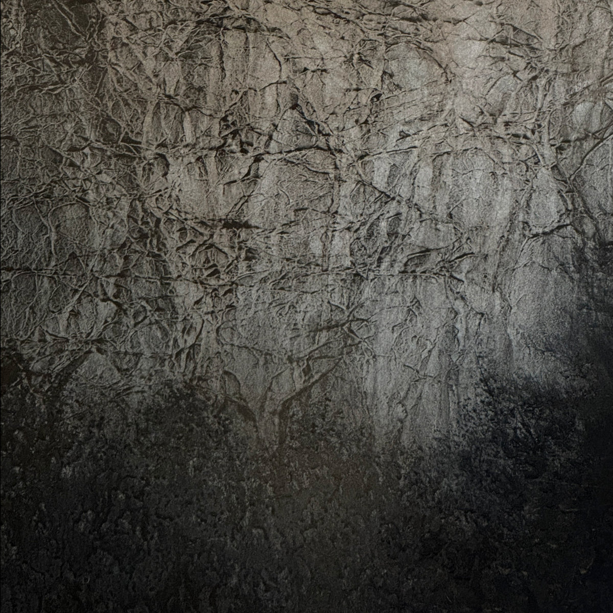 Scotopia cover art