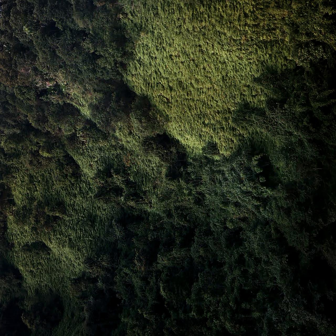 Audiovisual performance